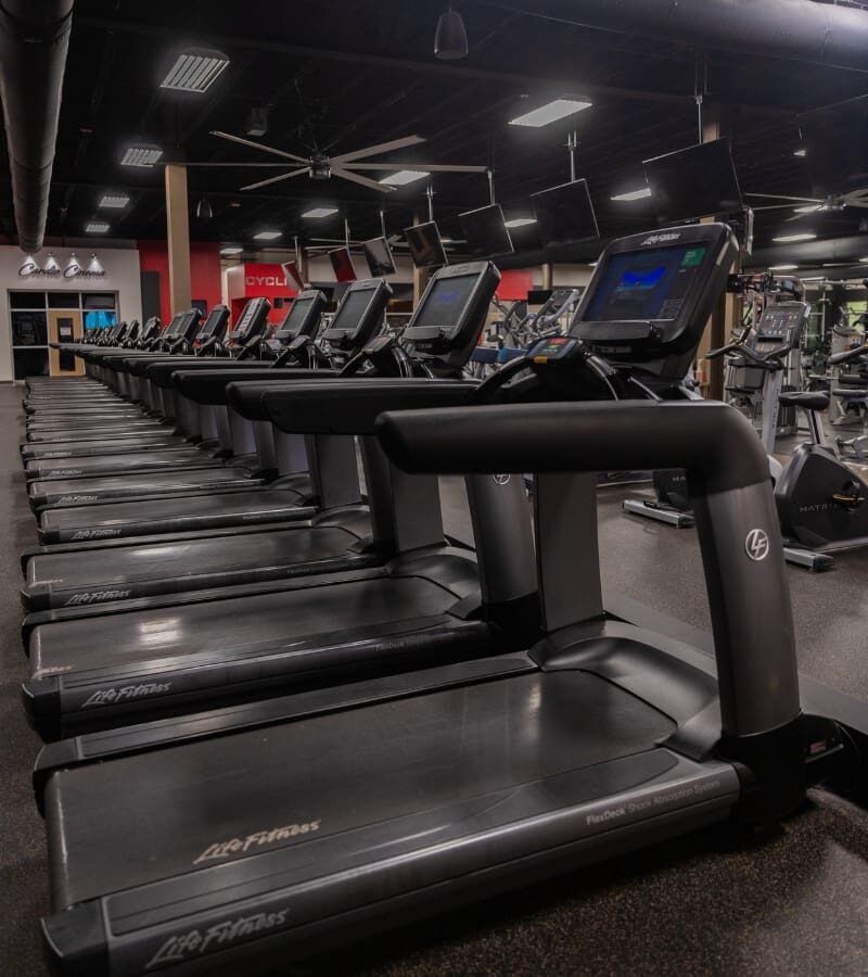 a row of treadmills in a cardio floor at a york pa fitness gym
