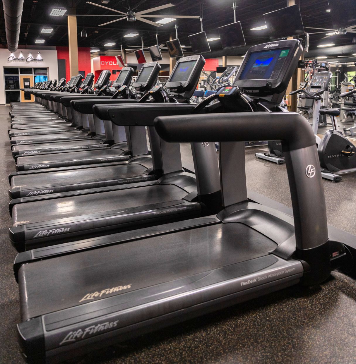 Cardio equipment at PA Fitness York Galleria